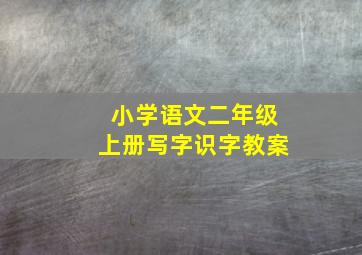 小学语文二年级上册写字识字教案