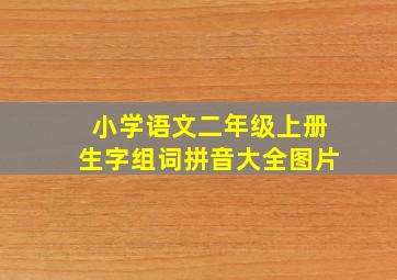 小学语文二年级上册生字组词拼音大全图片