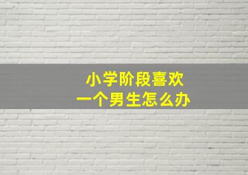 小学阶段喜欢一个男生怎么办