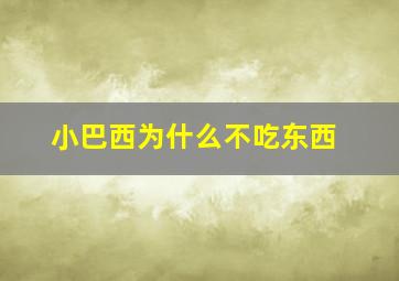 小巴西为什么不吃东西