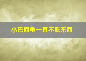 小巴西龟一直不吃东西