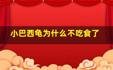 小巴西龟为什么不吃食了