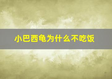 小巴西龟为什么不吃饭