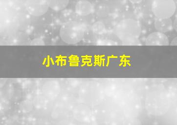 小布鲁克斯广东