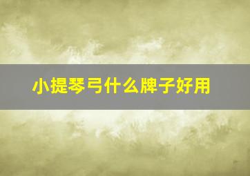 小提琴弓什么牌子好用