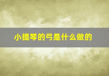 小提琴的弓是什么做的