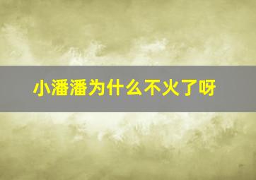 小潘潘为什么不火了呀