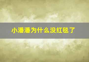 小潘潘为什么没红毯了