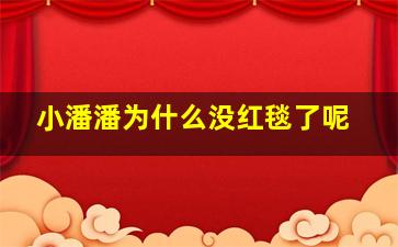 小潘潘为什么没红毯了呢