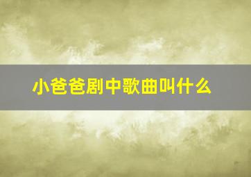 小爸爸剧中歌曲叫什么