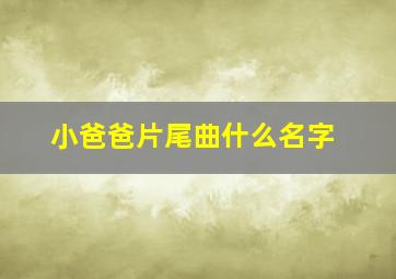 小爸爸片尾曲什么名字