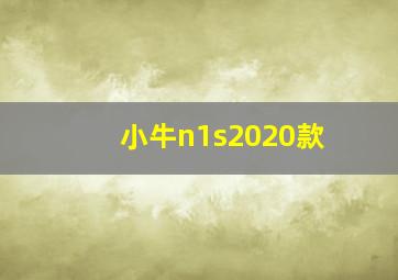 小牛n1s2020款