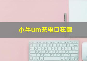 小牛um充电口在哪