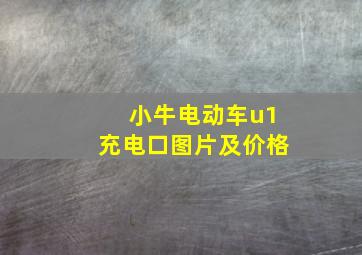 小牛电动车u1充电口图片及价格