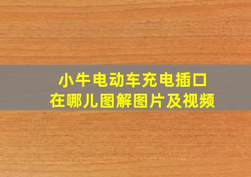 小牛电动车充电插口在哪儿图解图片及视频