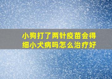 小狗打了两针疫苗会得细小犬病吗怎么治疗好