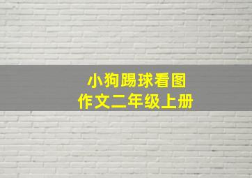 小狗踢球看图作文二年级上册