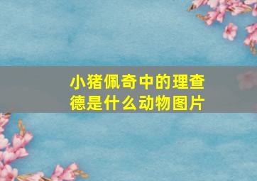 小猪佩奇中的理查德是什么动物图片