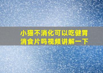 小猫不消化可以吃健胃消食片吗视频讲解一下