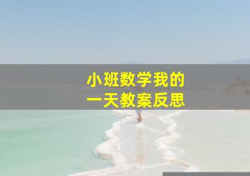 小班数学我的一天教案反思