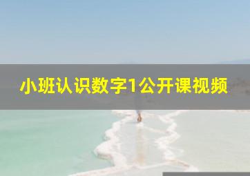 小班认识数字1公开课视频