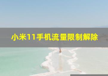 小米11手机流量限制解除