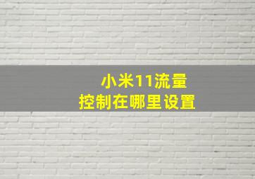 小米11流量控制在哪里设置