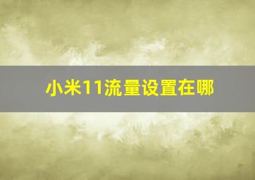 小米11流量设置在哪