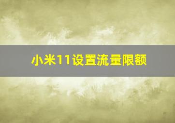 小米11设置流量限额