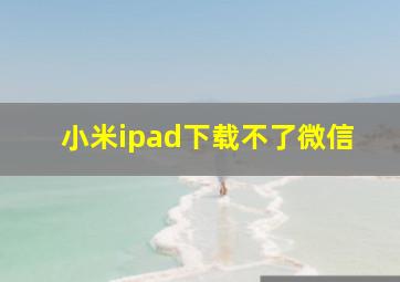 小米ipad下载不了微信