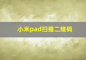 小米pad扫描二维码