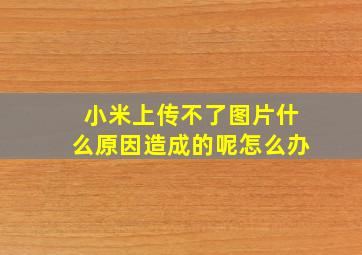 小米上传不了图片什么原因造成的呢怎么办