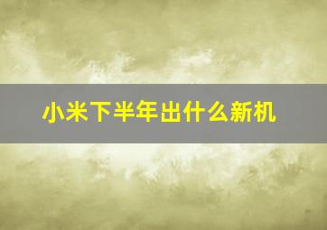 小米下半年出什么新机