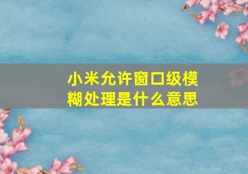 小米允许窗口级模糊处理是什么意思