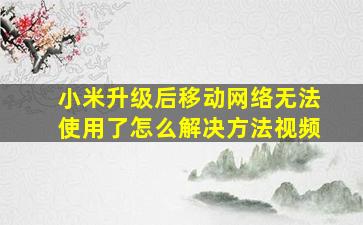 小米升级后移动网络无法使用了怎么解决方法视频