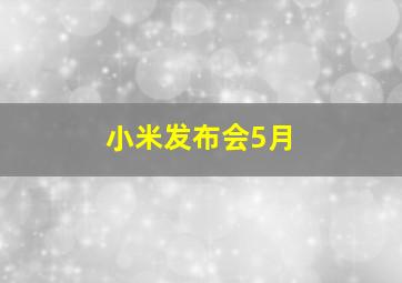 小米发布会5月