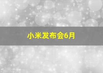 小米发布会6月