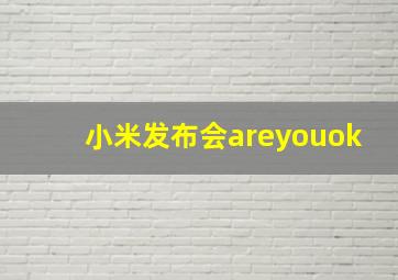 小米发布会areyouok