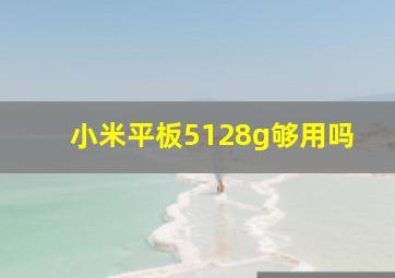 小米平板5128g够用吗