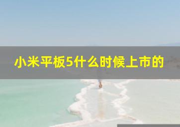 小米平板5什么时候上市的