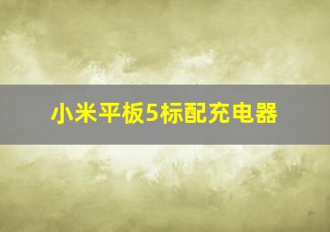 小米平板5标配充电器