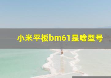 小米平板bm61是啥型号