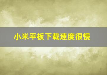 小米平板下载速度很慢