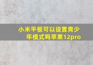 小米平板可以设置青少年模式吗苹果12pro