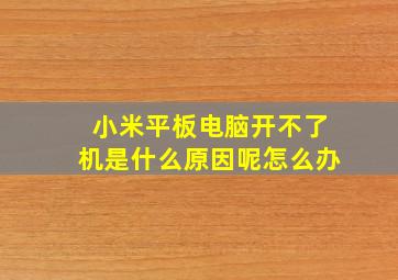 小米平板电脑开不了机是什么原因呢怎么办