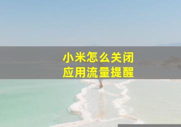 小米怎么关闭应用流量提醒