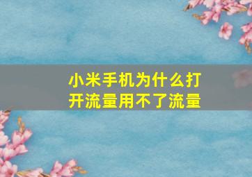 小米手机为什么打开流量用不了流量