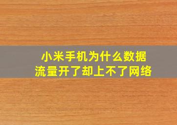 小米手机为什么数据流量开了却上不了网络