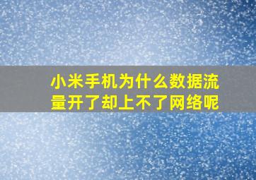 小米手机为什么数据流量开了却上不了网络呢