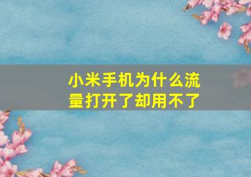 小米手机为什么流量打开了却用不了